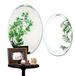 Alno - 9564-202 - Oval Mirrors