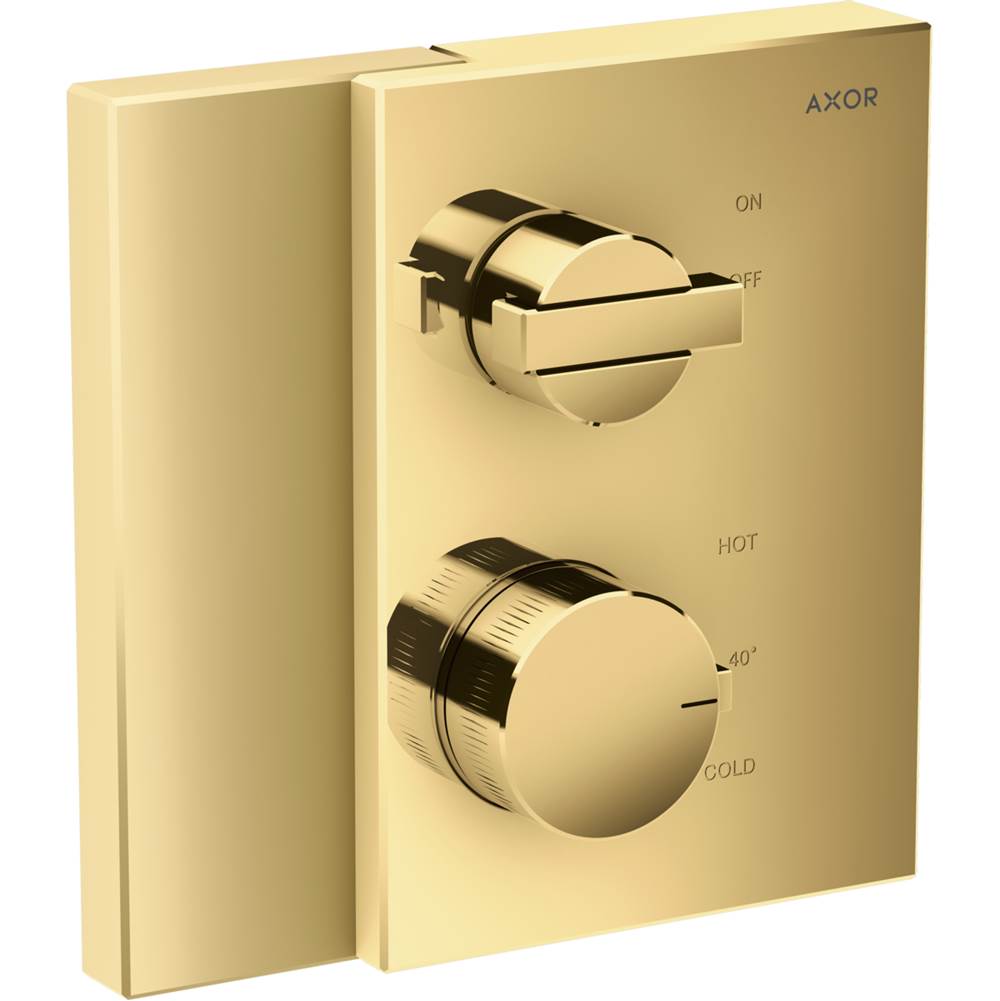 Axor Thermostatic Valve Trim Shower Faucet Trims item 46750991