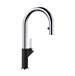 Blanco - 526398 - Pull Down Kitchen Faucets