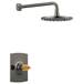 Brizo - T60267-BNXLHP - Shower Only Faucet Trims