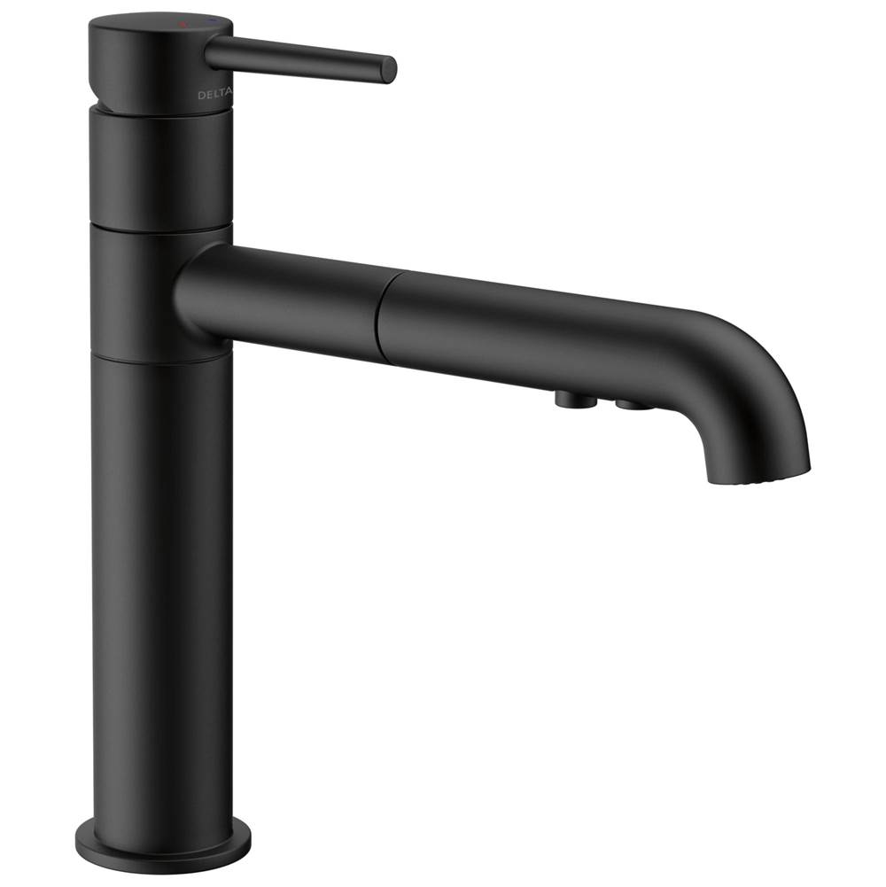 Fixtures, Etc.Delta FaucetTrinsic® Single Handle Pull-Out Kitchen Faucet
