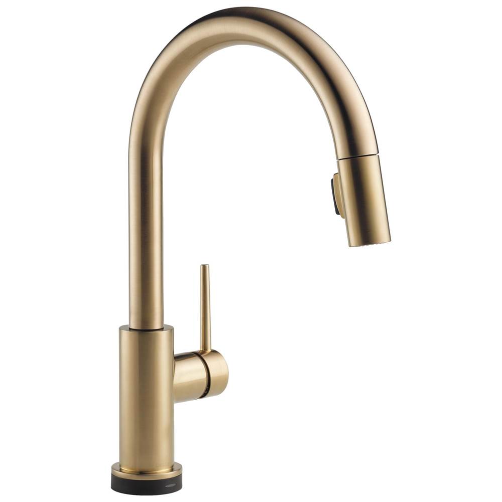 Fixtures, Etc.Delta FaucetTrinsic® VoiceIQ™ Single-Handle Pull-Down Kitchen Faucet with Touch<sub>2</sub>O® Technology