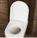 Lacava - 5051CW-001 - Toilet Seat Attachments