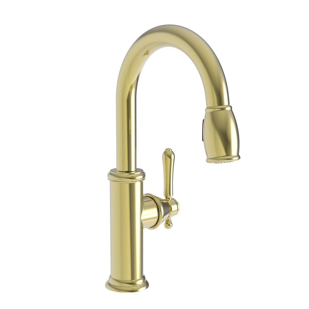 Newport Brass Pull Down Bar Faucets Bar Sink Faucets item 1030-5223/01