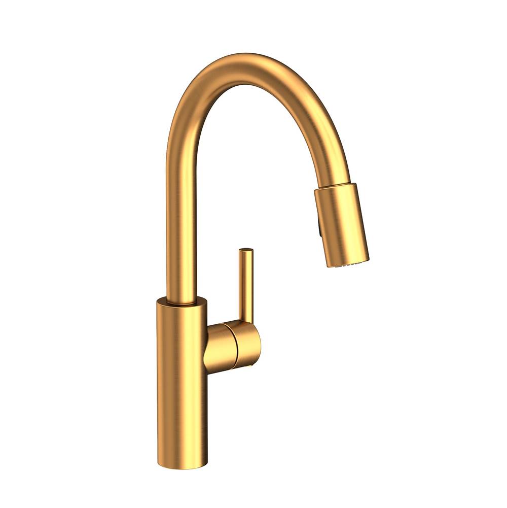 Newport Brass Single Hole Kitchen Faucets item 1500-5103/24S