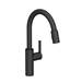 Newport Brass - 1500-5103/56 - Single Hole Kitchen Faucets