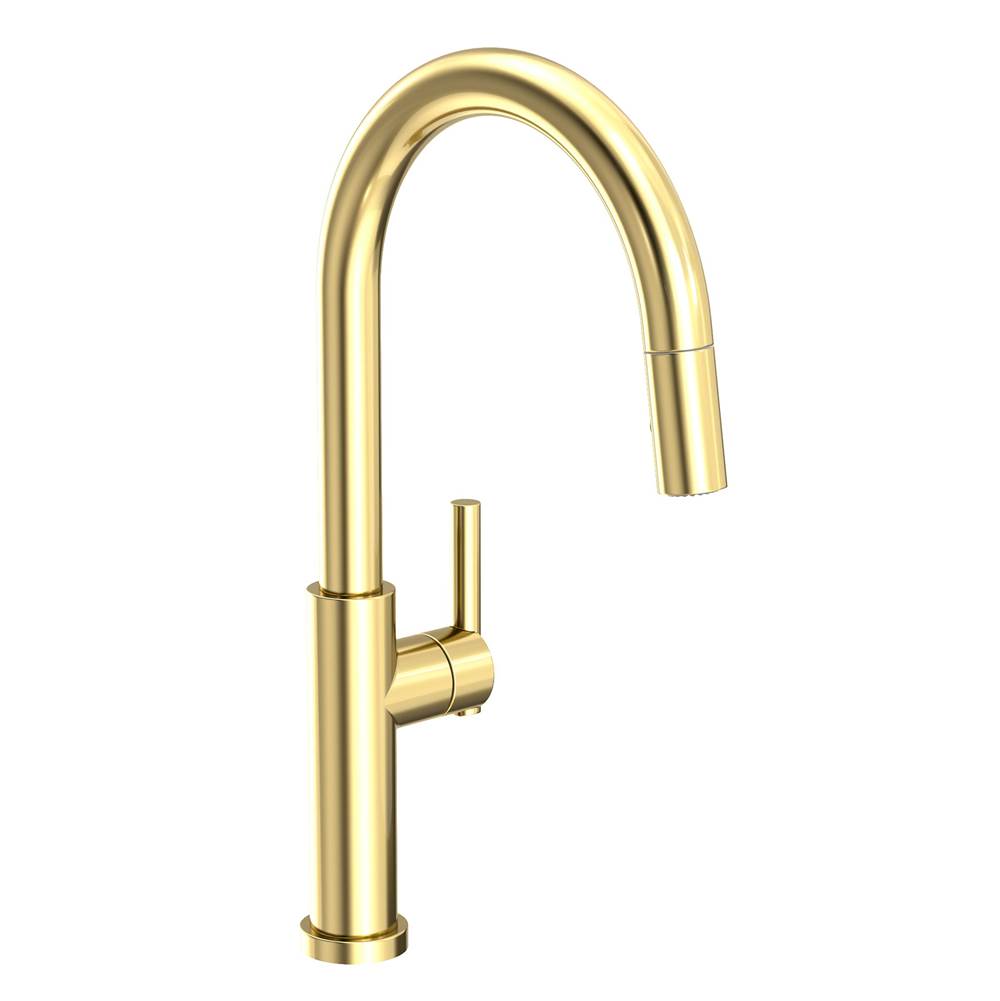 Newport Brass Retractable Faucets Kitchen Faucets item 1500-5143/01