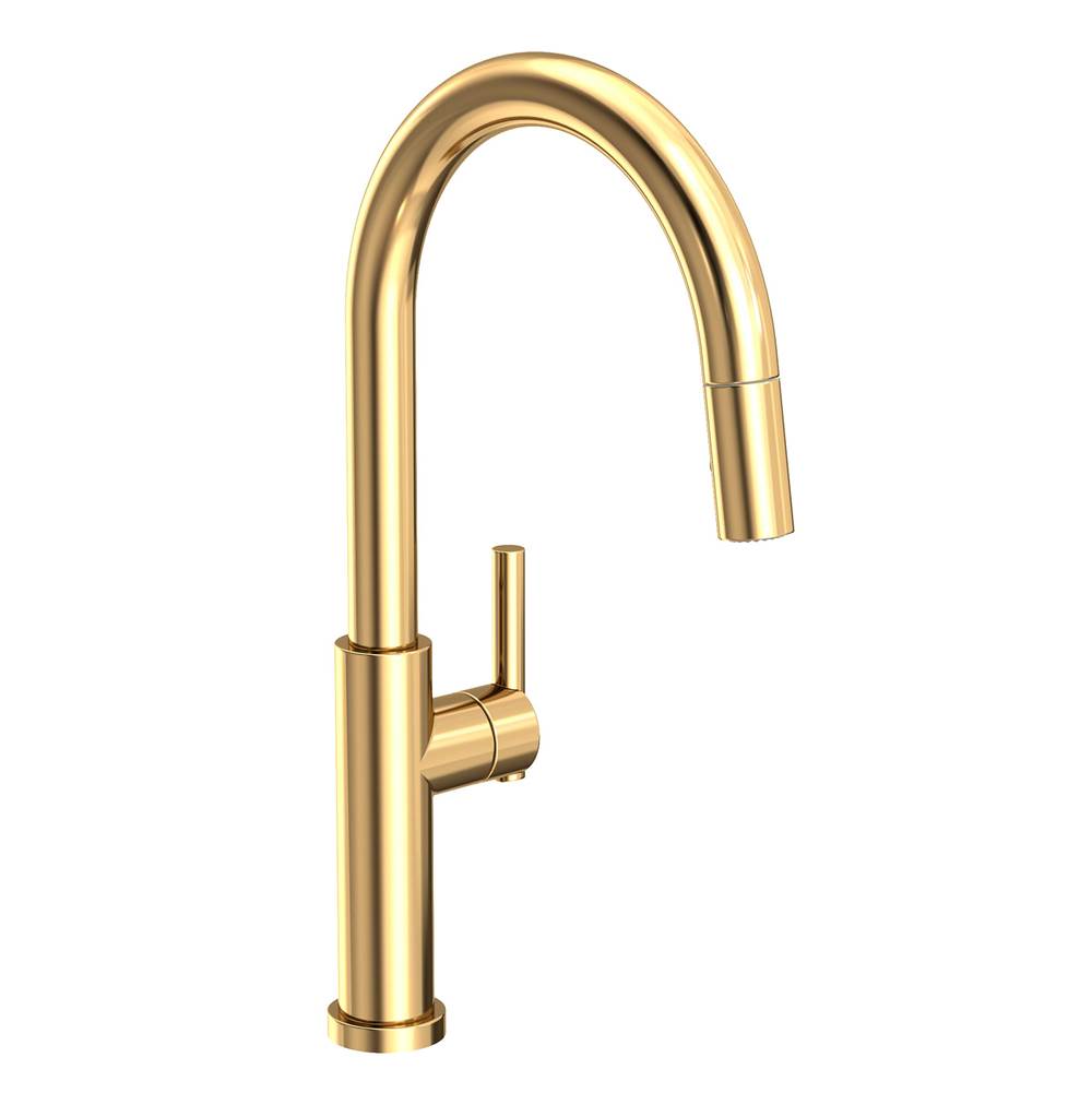 Newport Brass Retractable Faucets Kitchen Faucets item 1500-5143/03N