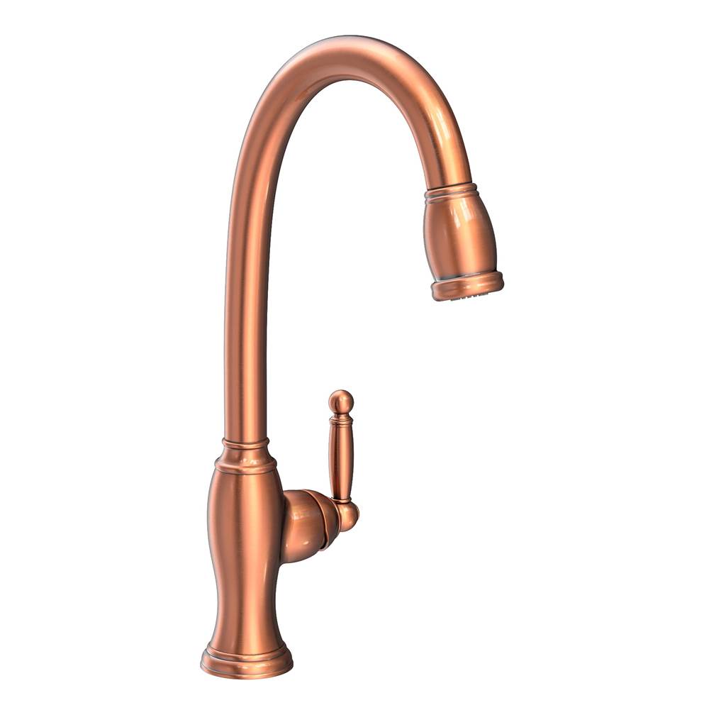 Newport Brass Single Hole Kitchen Faucets item 2510-5103/08A