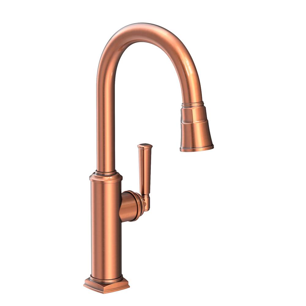 Newport Brass Retractable Faucets Kitchen Faucets item 3160-5103/08A