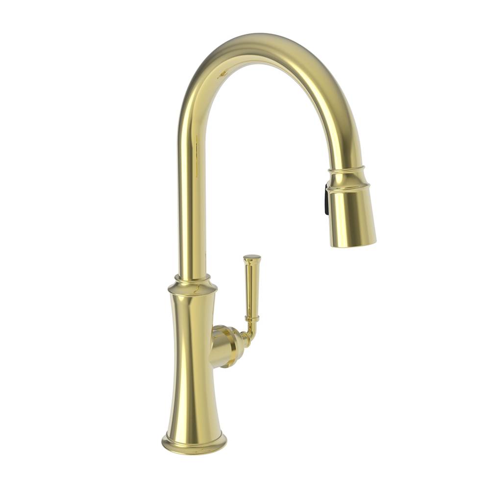 Newport Brass Pull Down Faucet Kitchen Faucets item 3310-5103/01